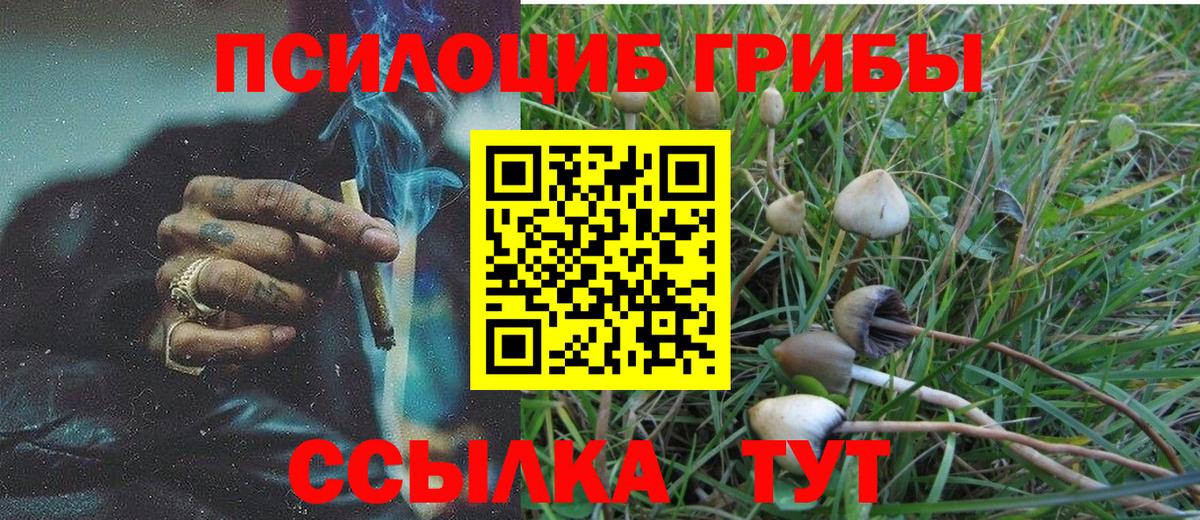 Галлюциногенные грибы Cubensis Лысьва